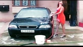 მცხუნვარე ქერა ფერია ...