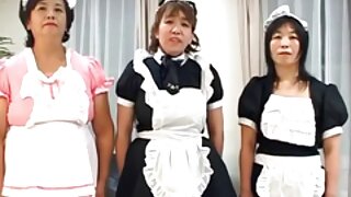 ნიოტაიმორის სიურპრიზ ...