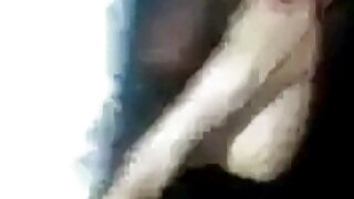 წვრილფეხა შავგვრემან ...